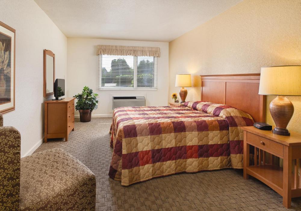 One-Bedroom Apartment interior